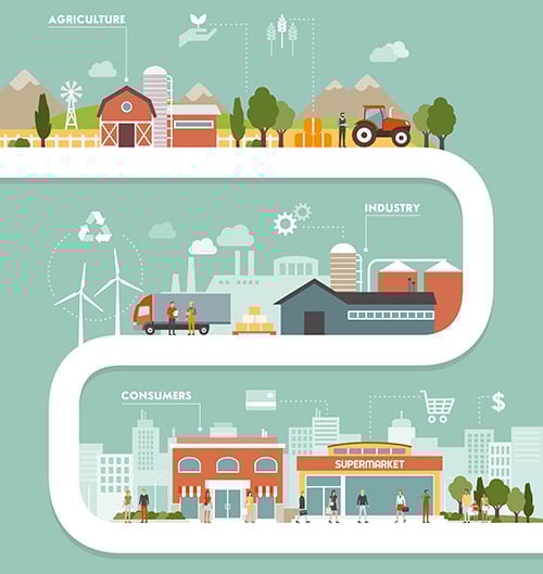 Food Supply Chain