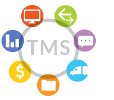 TMS