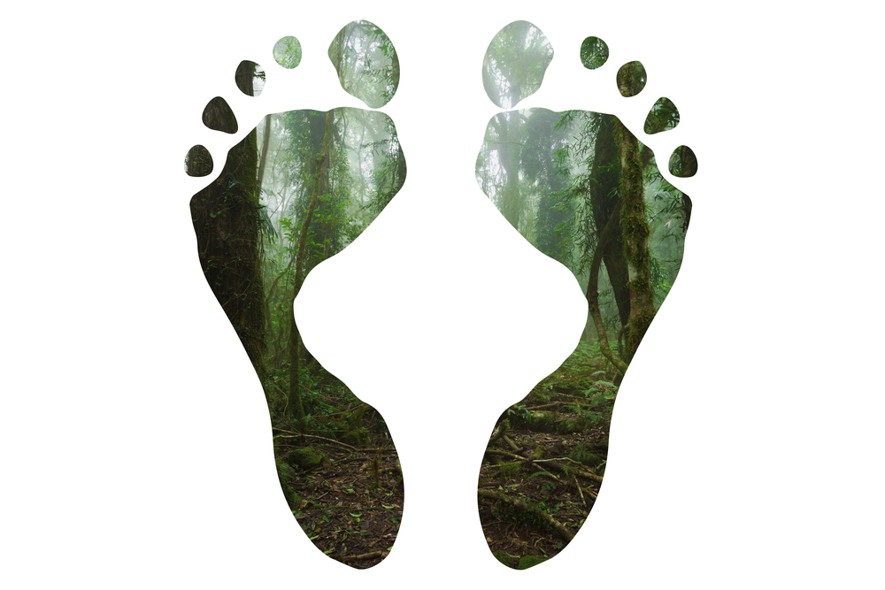 reduce the carbon footprint