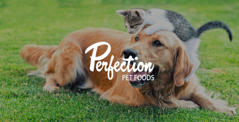Perfection Pet Foods - Case Study