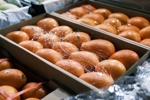 Perishable Freight Shipping Challenges and Solutions