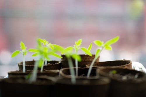 Supplier ESG Compliance: A Supply Chain Risk Guide