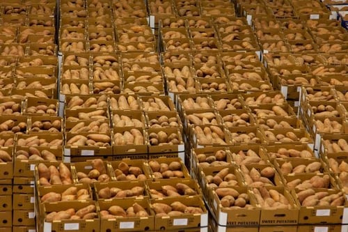 How 4PLs Optimize Food and Beverage Distribution Networks