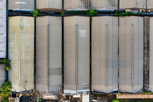 Summer Warehouse Safety: Common Hazards and Prevention Tips