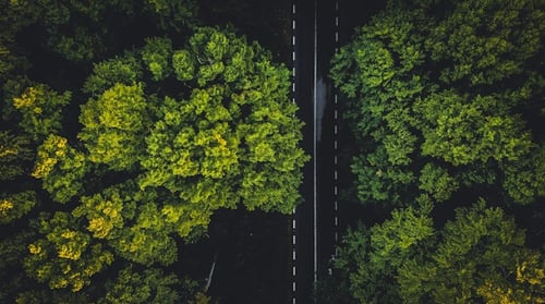 Green Supply Chain Practices for Sustainable Logistics